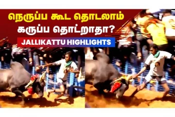 கருப்ப தொட்ட நீ கெட்ட - Jallikattu Highlights