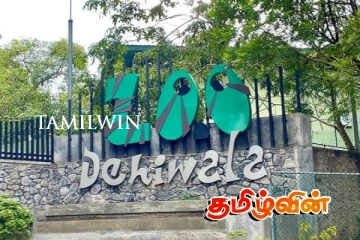 தெஹிவளை பூங்காவுக்கு வரும் புதிய விலங்குகள்