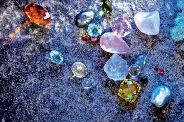 இலங்கையில் முதன்முறையாக ஸ்தாபிக்கப்படவுள்ள சர்வதேச ஆய்வு மையம்!