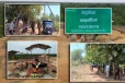 வெடுக்குநாறிமலைக்கு சென்ற பௌத்த பிக்கு தலைமையிலான குழு : குவிக்கப்பட்டுள்ள காவல்துறை
