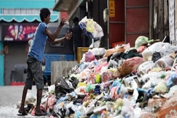 எரிபொருள் தட்டுப்பாடு:கொழும்பு நகரில் குப்பை சேகரிப்பு நிறுத்தம்