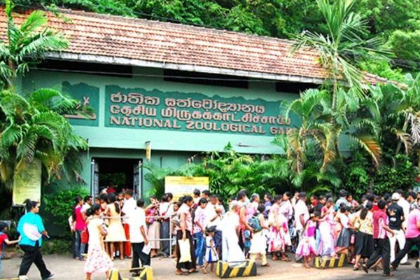 தேசிய மிருகக்காட்சிசாலையிலிருந்து மாயமான பறவைகள்! காவல்துறையில் முறைப்பாடு | Thirty Two Pigeons Stolen From Dehiwala Zoo