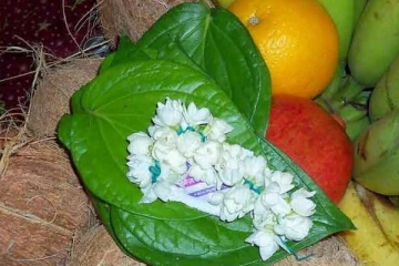 வெளிநாட்டு வேலையை கச்சிதமாக கணிக்கும் வெற்றிலை சாஸ்திரம்- நிபுணர் கொடுக்கும் விளக்கம்