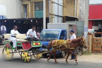 எரிபொருள் நெருக்கடி ; யாழ்ப்பாணத்தில் குதிரை வண்டில் சேவை  அங்குரார்ப்பணம்