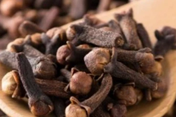 இரண்டு கிராம்பை வாயில் போட்டு மென்று சாப்பிடுங்க... உடலில் இந்த அதிசயம் எல்லாம் நடக்கும்!