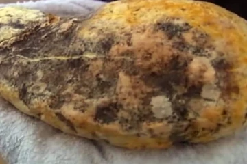 மறைத்து வைக்கப்பட்டிருந்த 10 கோடி ரூபா பெறுமதியான திமிங்கல வாந்தி!