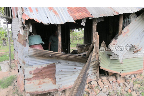 மட்டக்களப்பின் பல பகுதிகளில் காட்டு யானைகள் அட்டகாசம் | Wild Elephants Rampage In Many Parts Of Batticaloa மட்டக்களப்பின் பல பகுதிகளில் காட்டு யானைகள் அட்டகாசம் | Wild Elephants Rampage In Many Parts Of Batticaloa