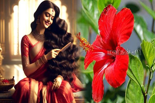 வாரத்திற்கு 2 முறை போடுங்க.. கருகருன்னு அடர்த்தியாக தலைமுடி வளரும் | Homemade Hair Oil For Long Hair In Tamil