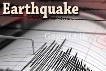 හදිසි භූ කම්පන තත්ත්වයක්..