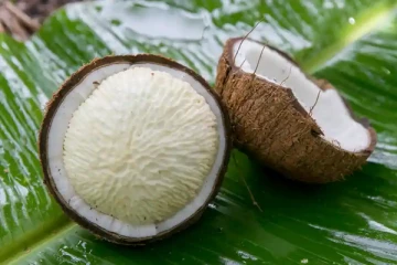 உடல் எடையை குறைக்க அதிகம் கஷ்டப்படுறீங்களா? தேங்காய் பூ செய்யும் அற்புதம்