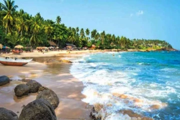 கடற்கரைகளில் அபாயகரமான மசகு எண்ணெய் கசிவுகள்! ஏற்பட்டுள்ள புதிய சிக்கல்