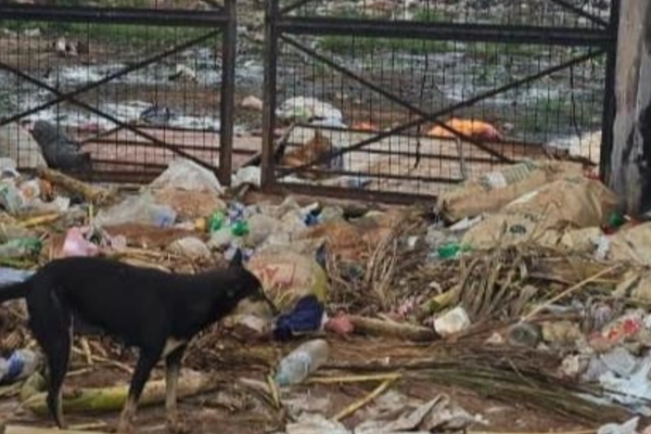 யாழில் மக்களின் பொறுப்பற்ற செயல்; கண்டுகொள்ளாத நல்லூர் பிரதேச சபை | Irresponsible People In Jaffna Foul Smell Kondavil யாழில் மக்களின் பொறுப்பற்ற செயல்; கண்டுகொள்ளாத நல்லூர் பிரதேச சபை | Irresponsible People In Jaffna Foul Smell Kondavil