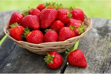 விந்தணு குறைபாட்டினை விரட்டியடிக்கும் ஸ்ட்ராபெர்ரி! கண்கூடாக தெரியும் அற்புதம்