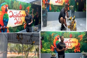 'அவந்திகை அகம்' றீ(ச்)ஷாவில் கிளிகளுடன் புகைப்படம்