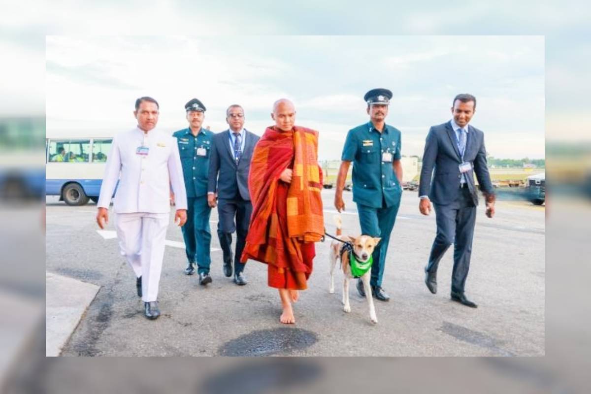 அமைதிக்கான நடைப்பயணம் அரச ஆதரவுடன் இன்று ஆரம்பம் | Peace Walk Begins With Government Support