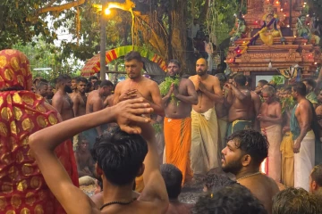 புன்னைச்சோலை - பத்திரகாளி அம்மன் ஆலய தீ மிதிப்பில் பத்தாயிரத்திற்கும் மேற்பட்ட பக்தர்கள்
