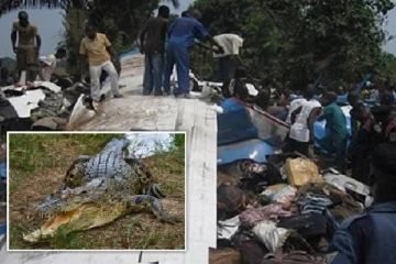 முதலையால் விபத்துக்குள்ளான பயணிகள் விமானம்: வெளிவரும் பகீர் பின்னணி