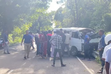 திருகோணமலையில் மின் கம்பத்தில் மோதிய வான்: விபத்தில் 11பேர் காயம்