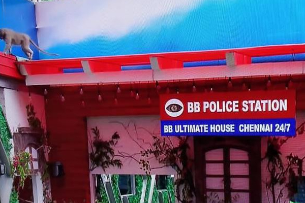 கதறிய வனிதா....அடித்து நொருக்கப்பட்ட பிக் பாஸ் வீட்டின் பொருட்கள்! எச்சரித்த பிக்பாஸ் | Monkey Entered Into Bigg Boss Ultimate Set Shocks