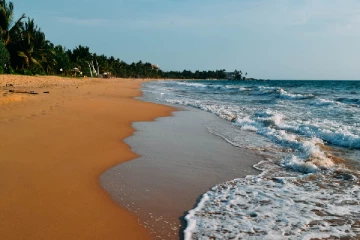 காலி துறைமுகத்தில் வெளிநாட்டவர் உயிரிழப்பு