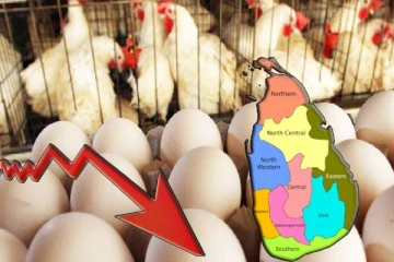 மக்களுக்கு மகிழ்ச்சித் தகவல் : கோழி இறைச்சியின் விலை சடுதியாக குறைவு