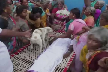 இடிதாக்கி உயிரிழந்த நபர்... வளர்ப்பு நாய் அரங்கேற்றிய பாசப்போராட்டம்! கலங்க வைக்கும் புகைப்படம்