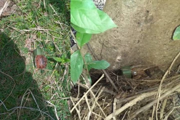 மட்டு.சந்திவெளி பகுதியிலிருந்து வெடிபொருள் மீட்பு