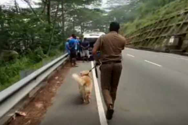 காவல்துறையினரின் அதிரடி சோதனை - போதைப்பொருளுடன் சிக்கிய யாத்திரிகர்கள் | Drueg Arrest 35 Person Tourist Sri Lanka