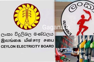 ඉන්ධන සහ විදුලි බිල සම්බන්ධව ඇමතිගෙන් සතුටුදායක ආරංචියක්...