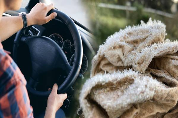 நுவரெலியாவில் தொடரும் உறைபனி பொழிவு: சாரதிகளுக்கு விடுக்கப்பட்ட எச்சரிக்கை | Freezing Rain Continues In Nuwara Eliya