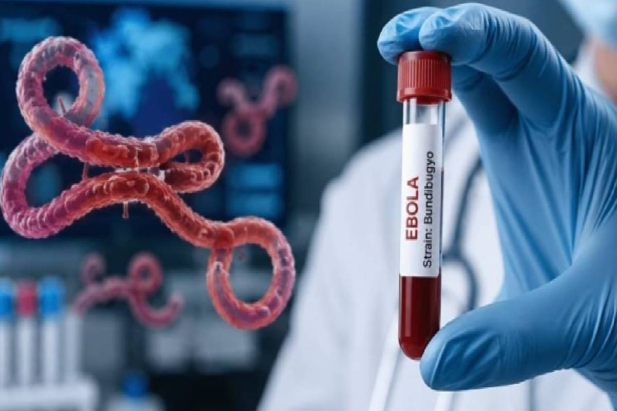 கனடா அரசின் அதிரடி தீர்மானம் ; எபோலா வைரஸ் பரவல் அபாயம் | Canadian Gover Drastic Decision Ebola Virus Spread