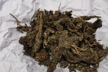 கேரள கஞ்சாவுடன் வியாபாரி ஒருவர் கைது (Photo)