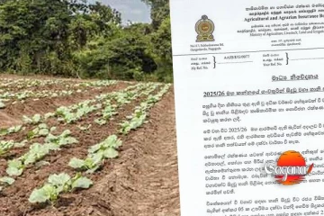 අයහපත් කාලගුණයෙන් බෝග වගාවන්ට සිදුවූ හානිවලට රජයෙන් තීරණයක්