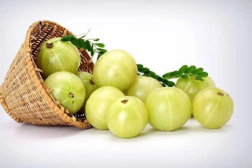 தூங்கும் முன் இரவில் நெல்லிக்காய் பொடி சாப்பிடலாமா?