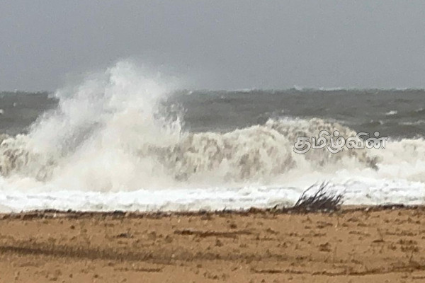 நெடுந்தீவில் பாம்பு தீண்டலுக்கு இலக்கான பெண்! விரைந்து செயற்பட்ட விமானப்படை | Woman Bitten By Snake In Nedunthevu