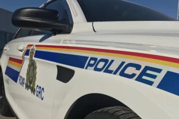 2 வயது குழந்தையை கடித்துக் குதறிய நாய்: நோவா ஸ்கோடியாவில் சம்பவம்