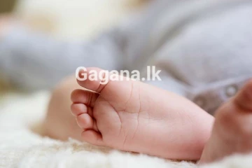 අලුත උපන් නිවුන් දරුවන් අලෙවි කළ මව..