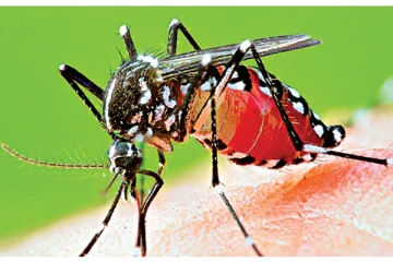 இலங்கையில் வேகமெடுக்கும் டெங்கு நோய்த்தொற்று