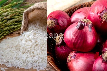 සහල් සහ ලොකු ළූණු බද්ධ අඩු වූ හැටි මෙන්න.