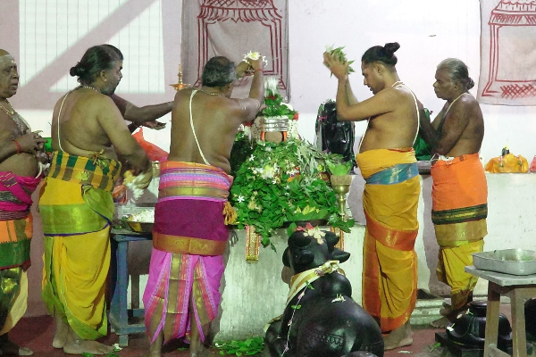 நாடளாவிய ரீதியில் இடம்பெற்ற சிவராத்திரி சிறப்பு வழிபாட்டு நிகழ்வுகள் | Island Wide Shivratri Special Worship Events