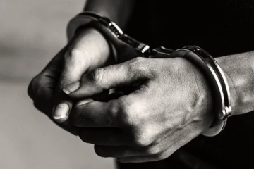 ජනපතිගේ නිවසට ඇතුළු වූ තවත් දෙදෙනෙකුට සිදු වූ දේ..