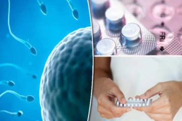 ஆண்களுக்கான கருத்தடை மாத்திரை - எலிகளுக்குச் செலுத்திப் பரிசோதனை