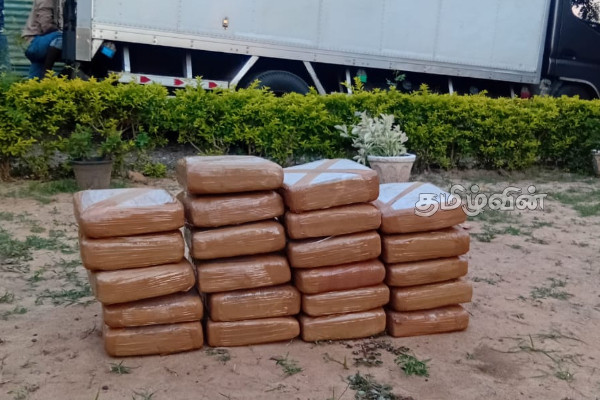 கிளிநொச்சியில் 55 கிலோ கேரள கஞ்சா வைத்திருந்த இருவர் கைது | Two Arrested Kilinochchi For Possessing Cannabis