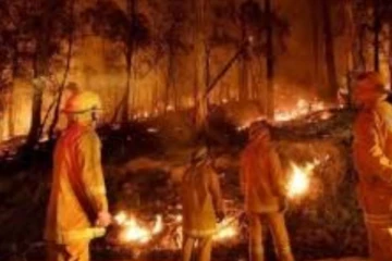 ஆஸ்திரேலியா நாட்டில் மீண்டும் காட்டு தீ: வீடுகள்,மரங்கள் எரிந்து நாசமாகின