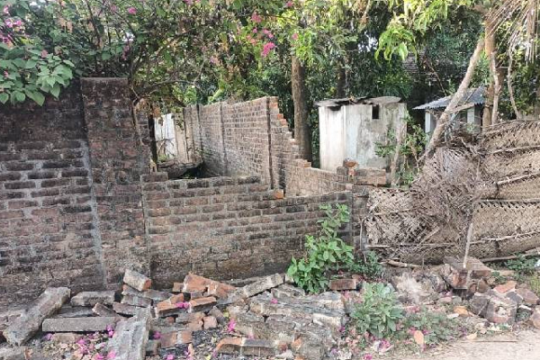 கிராமத்திற்குள் புகுந்து காட்டு யானை அட்டகாசம்: அம்பாறையில் சம்பவம்! | Elephant Rushes Into Village Incident In Ampara