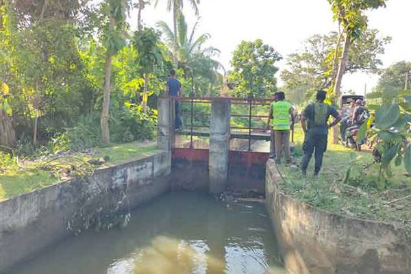 கிளிநொச்சியில் நீர்பாசன வாய்க்காலில் இருந்து மீட்கப்பட்ட சடலம்! | Dead Body Recovered Irrigation Canal Kilinochchi