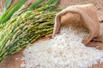குறைந்த விலையில் அத்தியாவசிய பொருட்கள்...சதொசவில் குவியும் மக்கள்