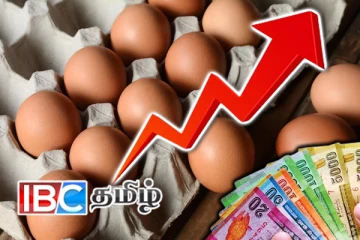 சந்தையில் மீண்டும் அதிகரித்த முட்டை விலை...!