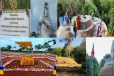 வடகிழக்கில் அதிகமாக தோன்றும் விகாரைகளின் பின்னணி