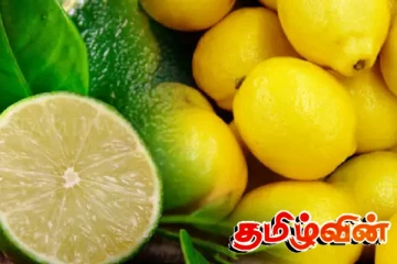 இலங்கை மக்களுக்கு அதிர்ச்சி கொடுக்கும் தேசிக்காயின் விலை